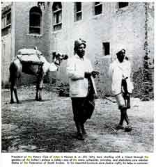 ���� ������ ��� ��� ����