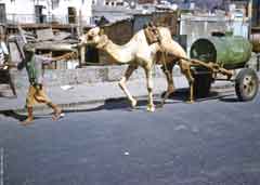 انقر للحصول على حجم اكبر