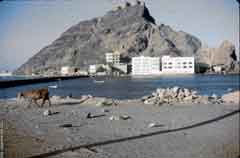 انقر للحصول على حجم اكبر