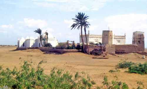 ���� ������ ��� ��� ����