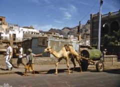 ���� ������ ��� ��� ����