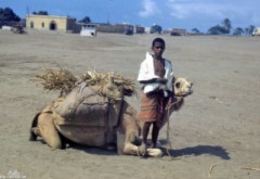 ���� ������ ��� ��� ����