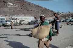 ���� ������ ��� ��� ����