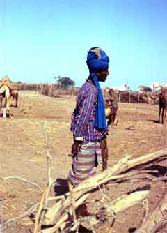 ���� ������ ��� ��� ����