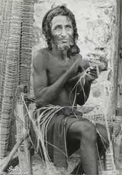 ���� ������ ��� ��� ����