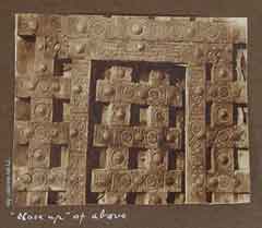 ���� ������ ��� ��� ����