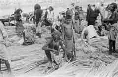 ���� ������ ��� ��� ����