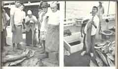 انقر للحصول على حجم اكبر