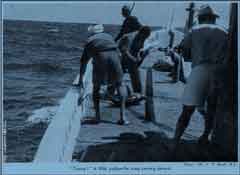 انقر للحصول على حجم اكبر