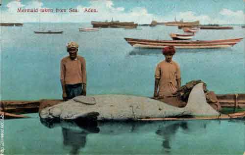 انقر للحصول على حجم اكبر