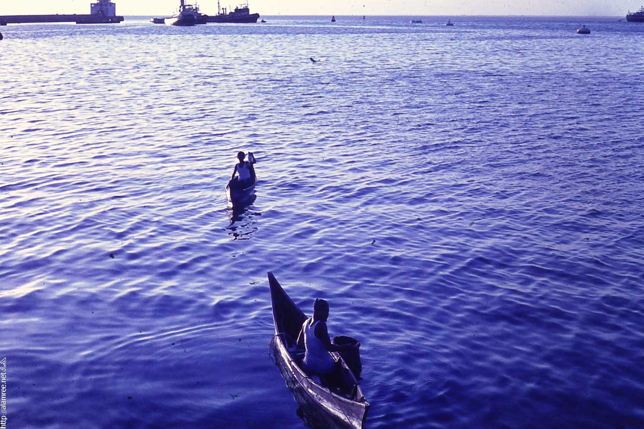 انقر للحصول على حجم اكبر