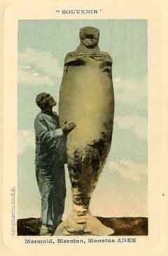 انقر للحصول على حجم اكبر