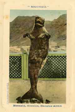 انقر للحصول على حجم اكبر