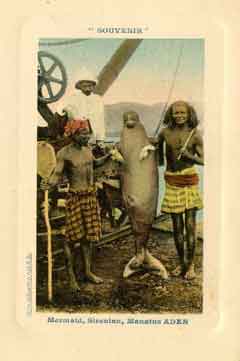 انقر للحصول على حجم اكبر