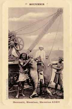 انقر للحصول على حجم اكبر