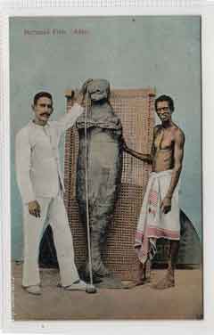 انقر للحصول على حجم اكبر