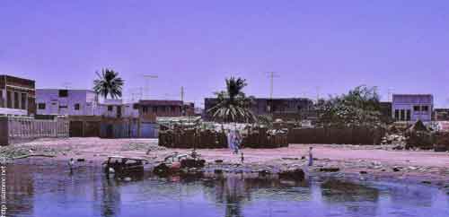 ���� ������ ��� ��� ����