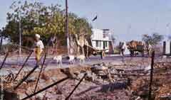 ���� ������ ��� ��� ����