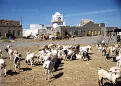 ���� ������ ��� ��� ����