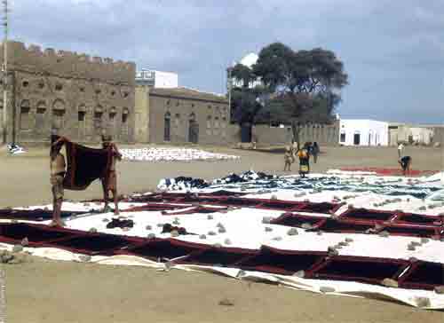 ���� ������ ��� ��� ����