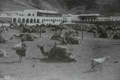 ���� ������ ��� ��� ����