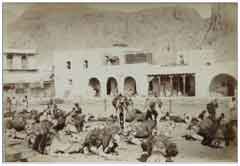 ���� ������ ��� ��� ����