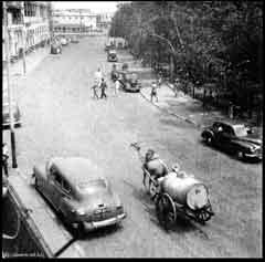 ���� ������ ��� ��� ����