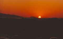 ���� ������ ��� ��� ����