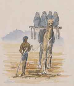 ���� ������ ��� ��� ����