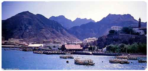 ���� ������ ��� ��� ����