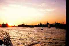 ���� ������ ��� ��� ����