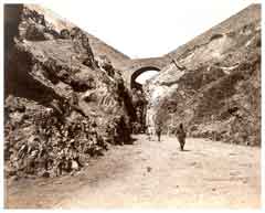 ���� ������ ��� ��� ����