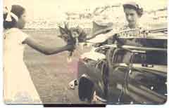 ���� ������ ��� ��� ����