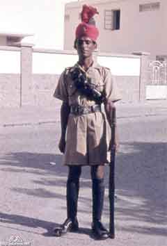 ���� ������ ��� ��� ����