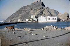 ���� ������ ��� ��� ����