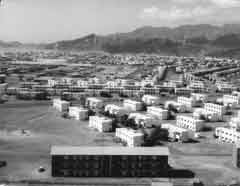 ���� ������ ��� ��� ����