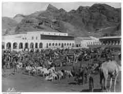 ���� ������ ��� ��� ����