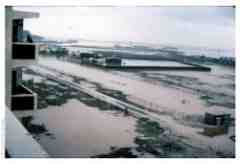 ���� ������ ��� ��� ����