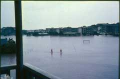 ���� ������ ��� ��� ����