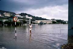 ���� ������ ��� ��� ����