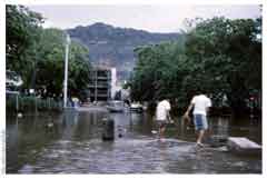 ���� ������ ��� ��� ����