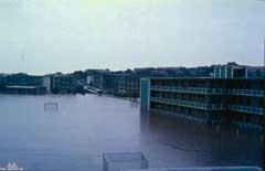 ���� ������ ��� ��� ����