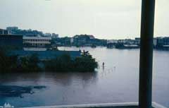 ���� ������ ��� ��� ����