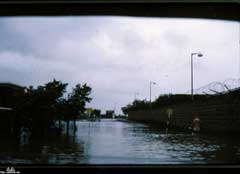 ���� ������ ��� ��� ����