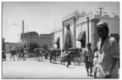 ���� ������ ��� ��� ����