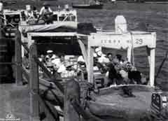 ���� ������ ��� ��� ����