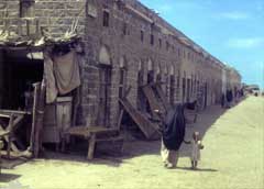 ���� ������ ��� ��� ����