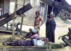 ���� ������ ��� ��� ����