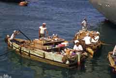 ���� ������ ��� ��� ����