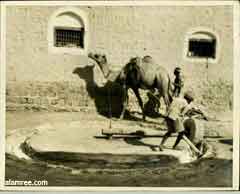 ���� ������ ��� ��� ����